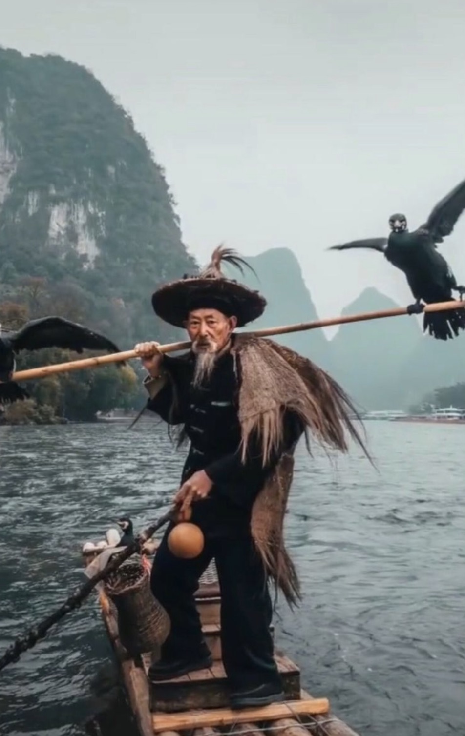 japanese fisherman with birds